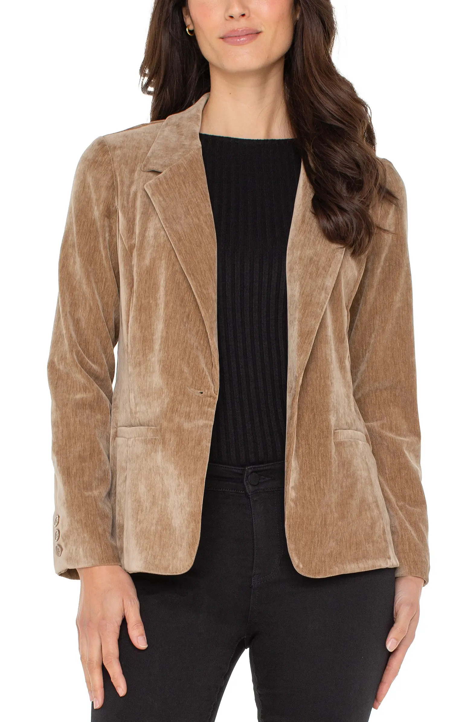 Fitted Velvet Blazer | Nordstrom