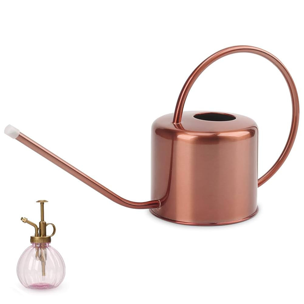 Remiawy Watering Can Indoor Outdoor Stainless Steel Watering Cans for House Plants Long Spout Wat... | Amazon (US)