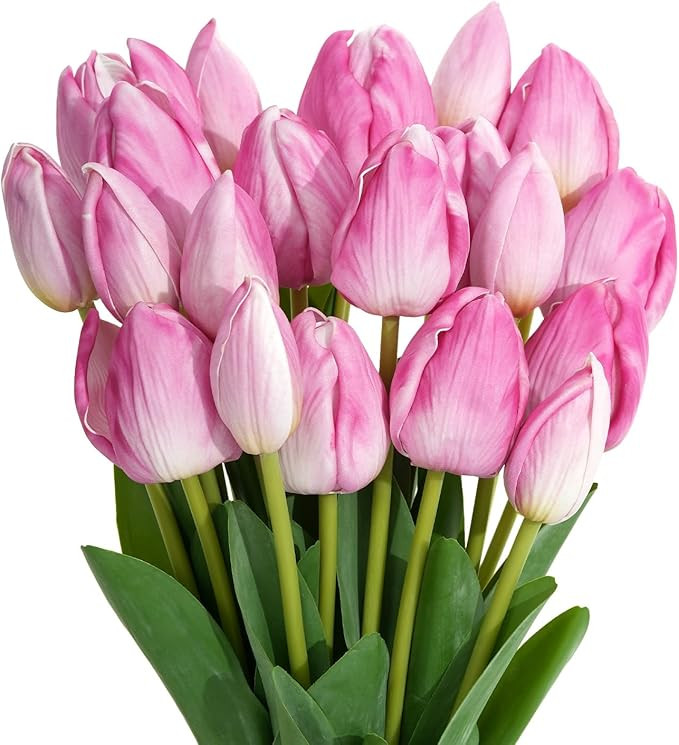 Real Touch Artificial Tulips, 20pcs Fake Tulip Flower Stem, PU Faux Tulip 19.7” for Mother's Da... | Amazon (US)
