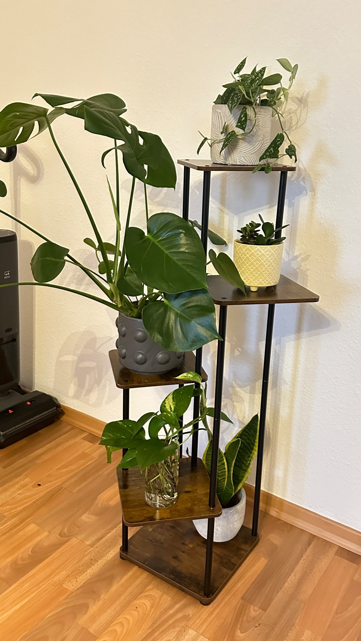 Plant stand

#LTKdeutschland #LTKeurope #LTKgiftguide