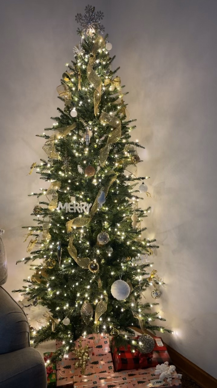 The VIRAL Home Depot tree is back in stock! Run, don’t walk! 🏃🏽‍♀️‍➡️

#LTKSeasonal #LTKHome #LTKVideo