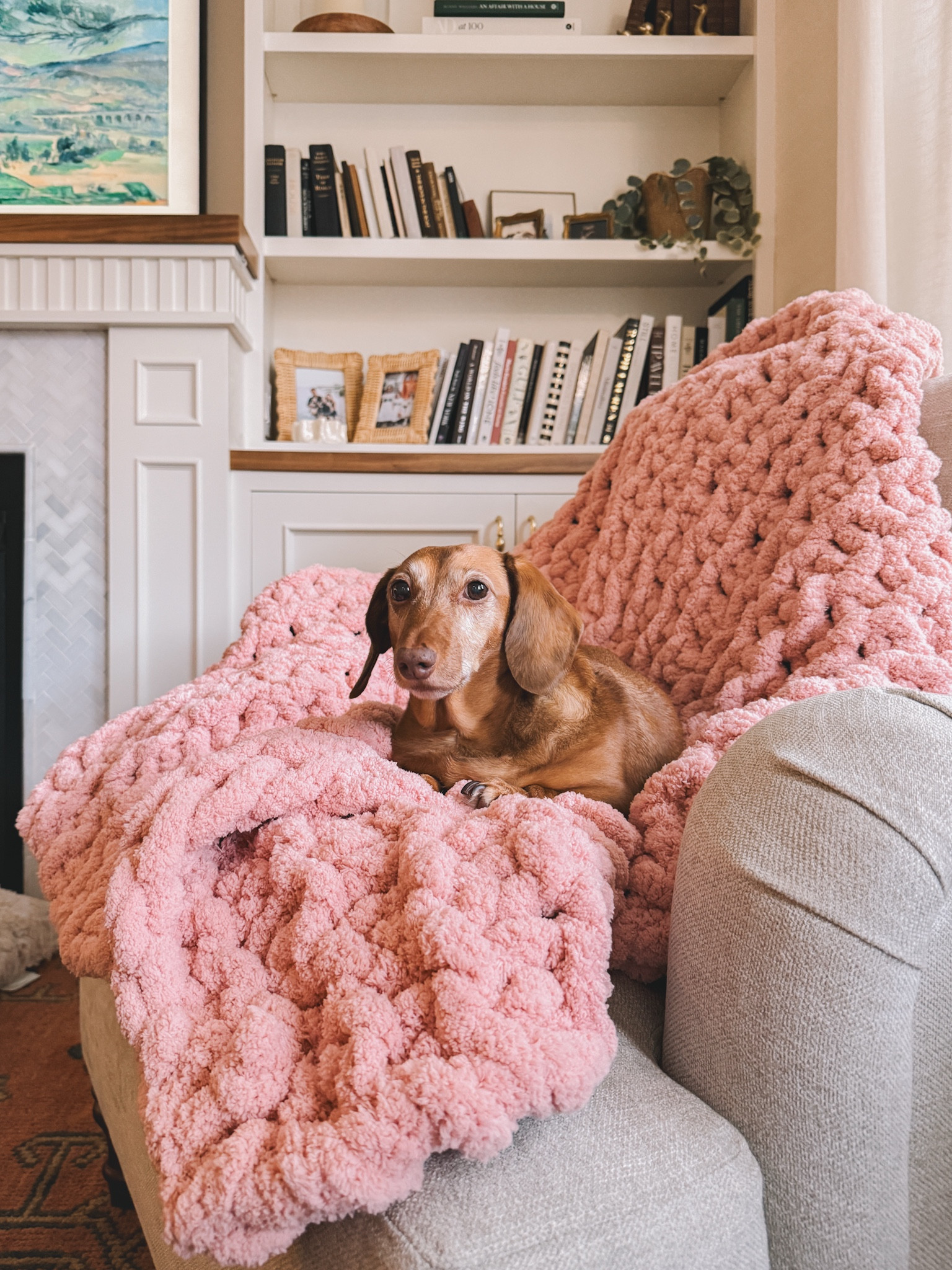 **Wayfair’s Black Friday Sneak Peek event is on! You can take up to 70 percent off and get fast shipping on nearly everything!**

Noodle, snuggled up in her under-$50 chenille throw, which is the PERFECT cozy gift for nearly anyone! (A @wayfair store find, but you can get it online too! Lots of other colors.) #Wayfair #WayfairPartner 

#LTKHome #LTKCyberWeek #LTKSaleAlert