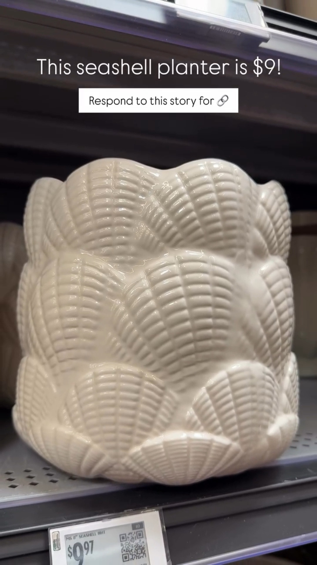 This seashell planter is $9!  Respond to this story for 🔗