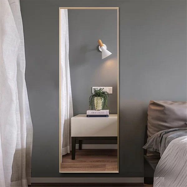 Gormley Alloy Full Length Mirror | Wayfair North America