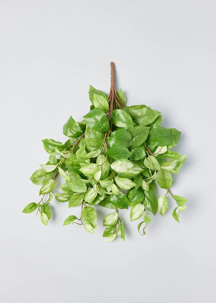 Fake Hoya Tropical Plant | Artificial Hanging Plants | Afloral.com | Afloral