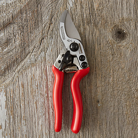 Berger Angled Pruner | Terrain