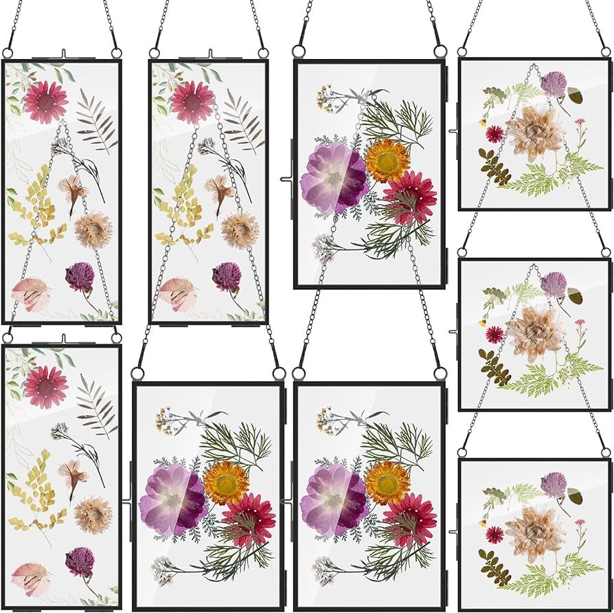Barydat 9 Pack Black Glass Frames for Pressed Flowers 6 x 6, 6 x 8, 4 x 9 in Hanging Picture Fram... | Amazon (US)