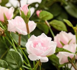 LoveShackFancy Faux Rose Heart Wreath | Pottery Barn (US)