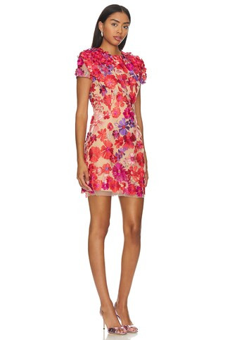 Performance Dress in Red & Nude | Revolve Clothing (Global)