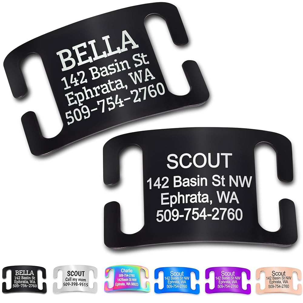 GoTags Slide-On Pet ID Tags, Curved Personalized Dog and Cat, Silent, No Noise Stainless Steel, C... | Amazon (US)