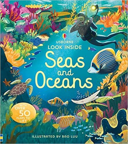 Look Inside Seas and Oceans    Hardcover – May 16 2019 | Amazon (CA)