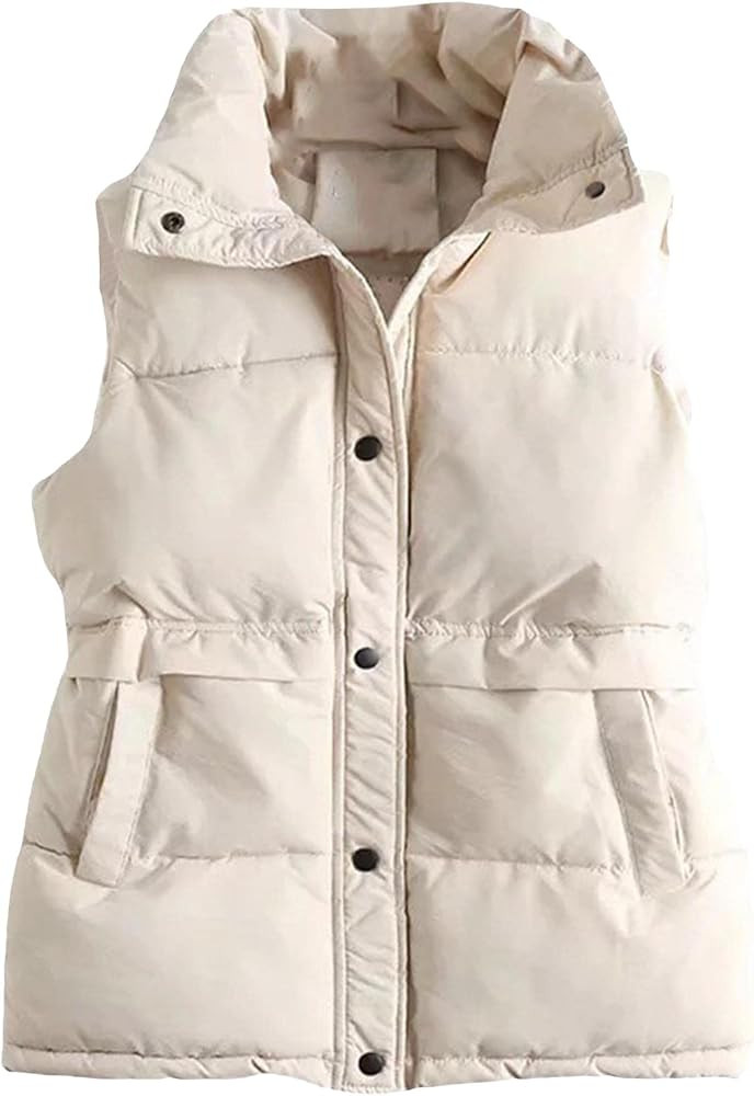 ECDAHICC Women's Winter Puffer Vest Lightweight Sleeveless Stand Collar Warm Outerwear Vest Padde... | Amazon (US)
