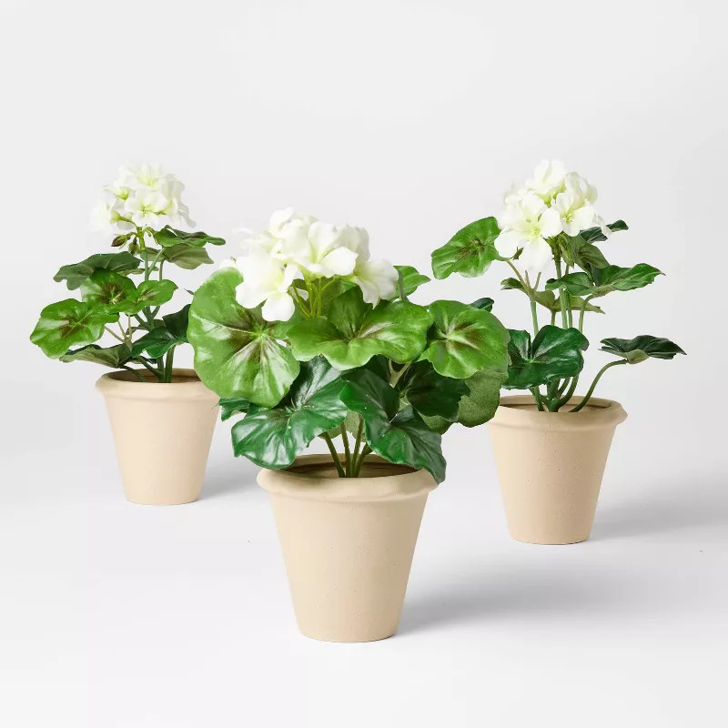 Set of 3 Geranium Potted Arrangements - Threshold™ designed with Studio McGee | Target