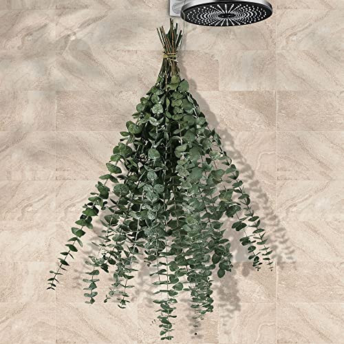 15pc Dried Preserved Eucalyptus Stems Bundle for Shower - 17" Real Fresh Eucalyptus, 100% Natural Eucalyptus Leaves Bulk for DIY Shower Spa Wedding Party Home Office Floral Arrangements Decor | Amazon (US)