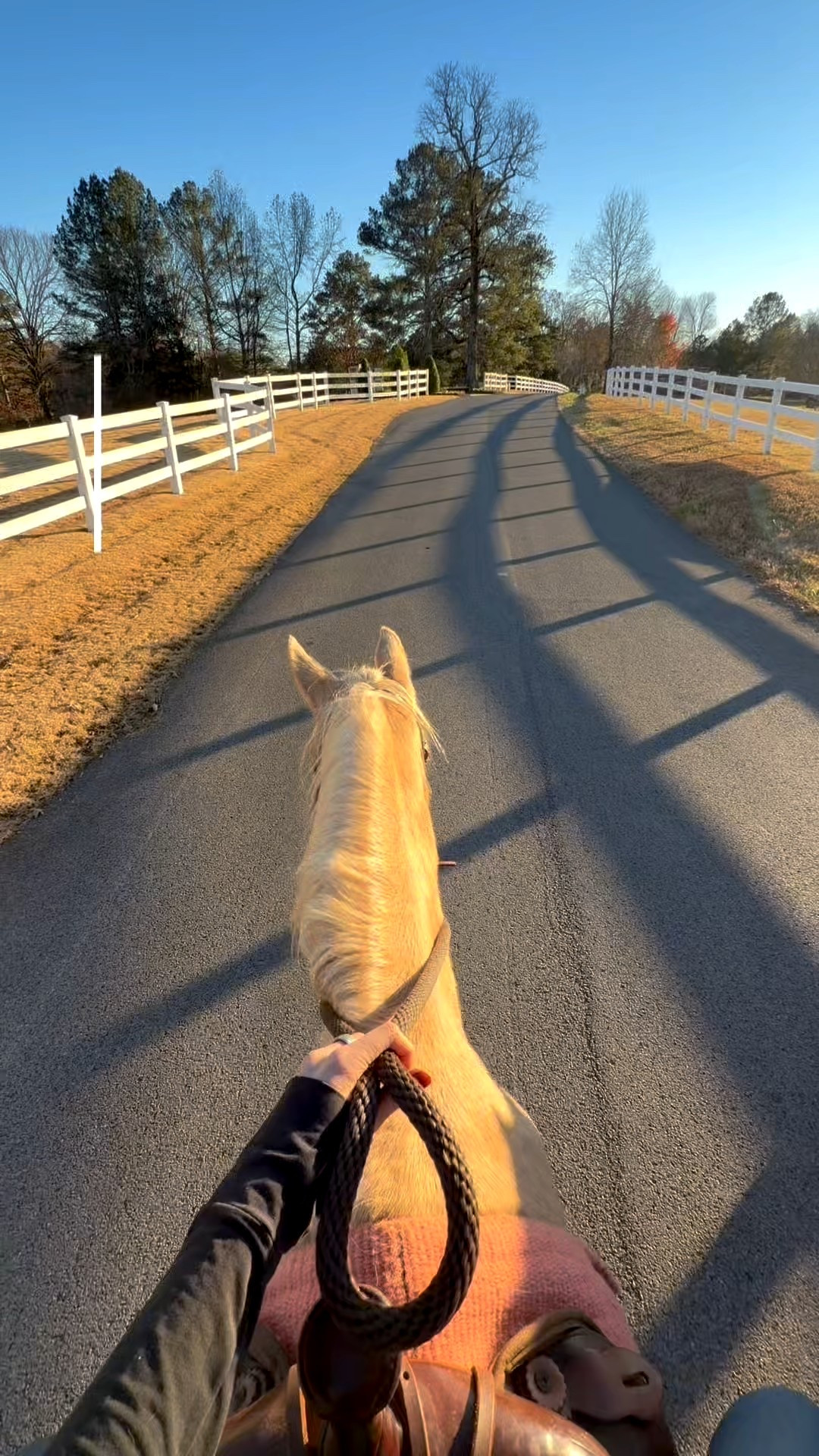 a few of my favorite when I go trail ride! 

#LTKvlog #LTKActive #LTKSeasonal