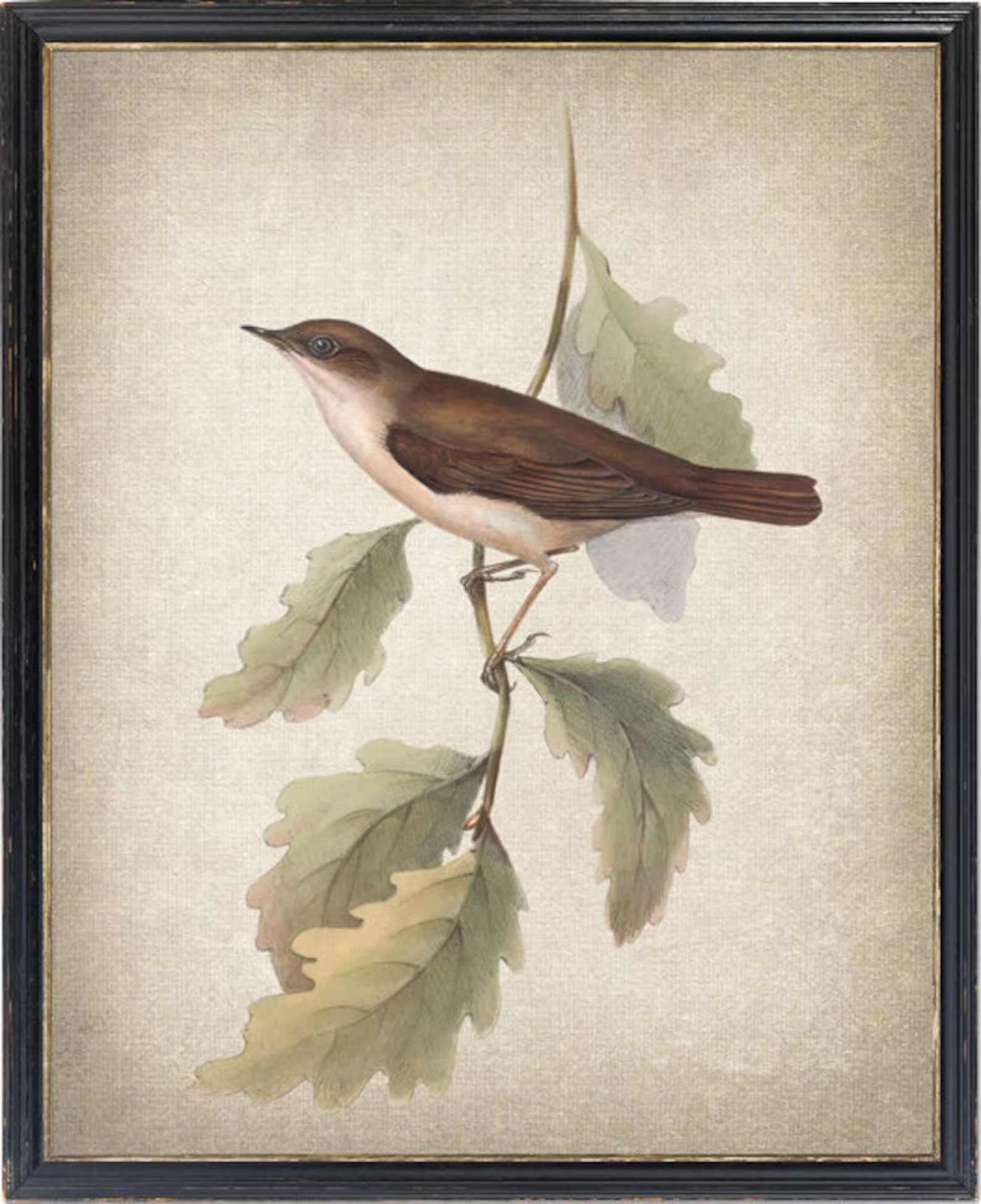 Nightingale Bird Digital Print, Vintage Illustration, Printable Bird and Botanical Wall Art INSTA... | Etsy (US)