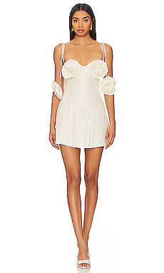 Kali Mini Dress
                    
                    For Love & Lemons | Revolve Clothing (Global)