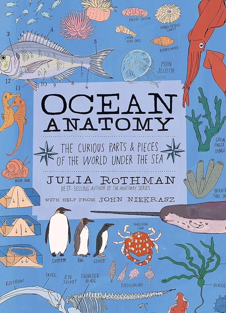 Ocean Anatomy: The Curious Parts & Pieces of the World under the Sea | Amazon (US)
