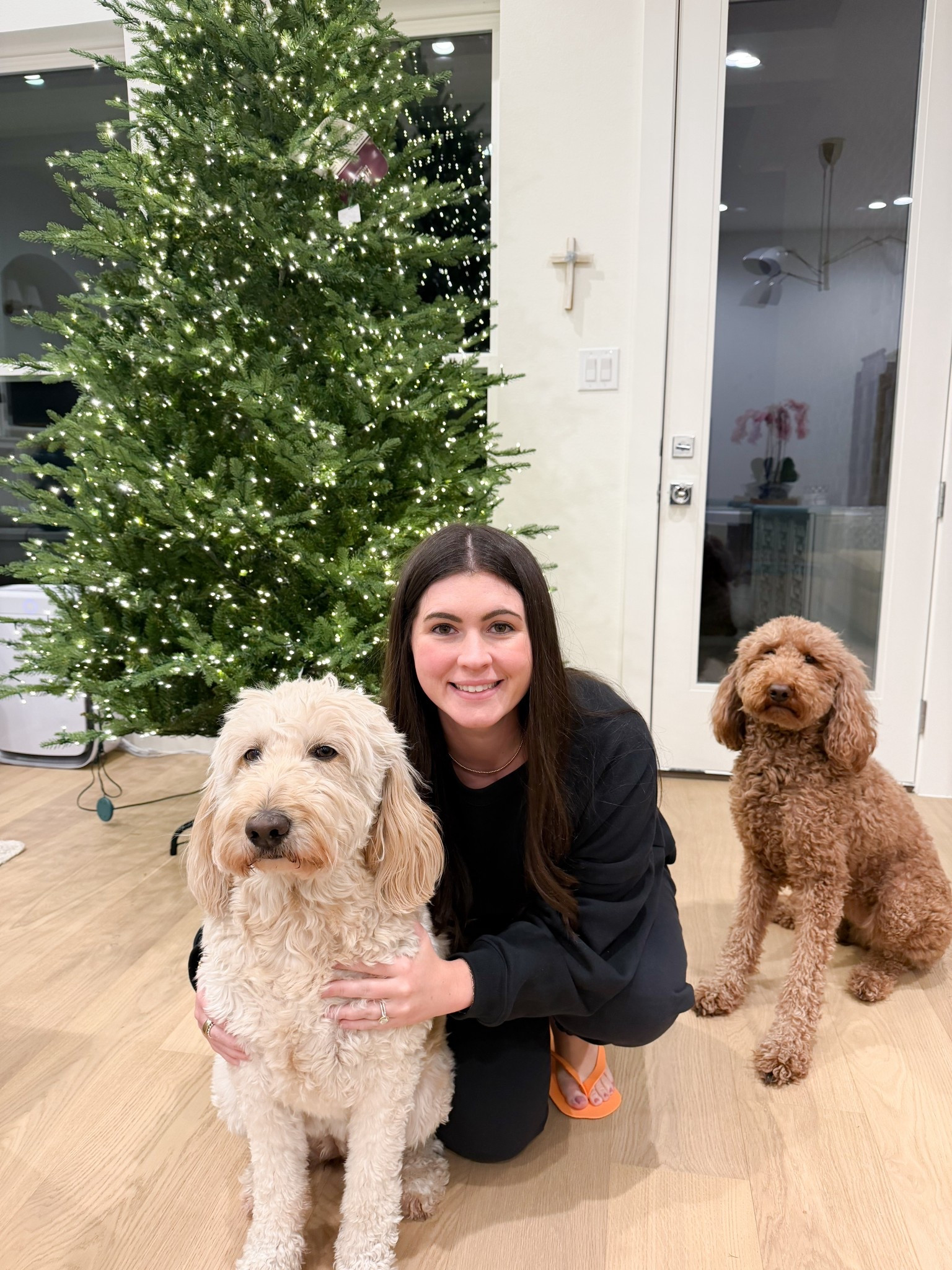 9 ft. Grand Duchess Twinkling Balsam Fir LED Pre-Lit Artificial Christmas Tree 

#LTKSeasonal #LTKHoliday