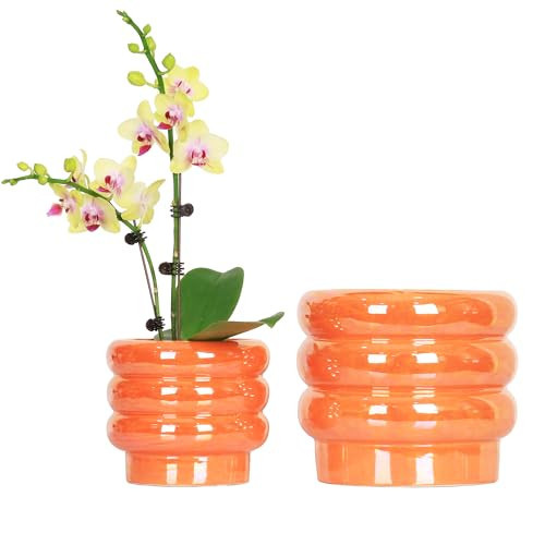 YFFSRJDJ 7.8 Inch + 5.7 inch 2 pcs Ceramic Plant Pots for Indoor Plants, Rainbow Pearl Glaze Planter with Planters for Plants with Drainage Hole, Orchid Pots, Succulent Pot, Flower Pot (Orange) | Amazon (US)