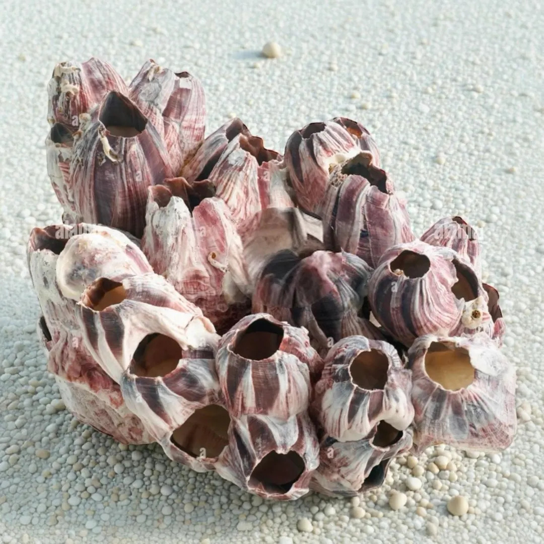 Low in stock, only 7 left | Etsy (US)