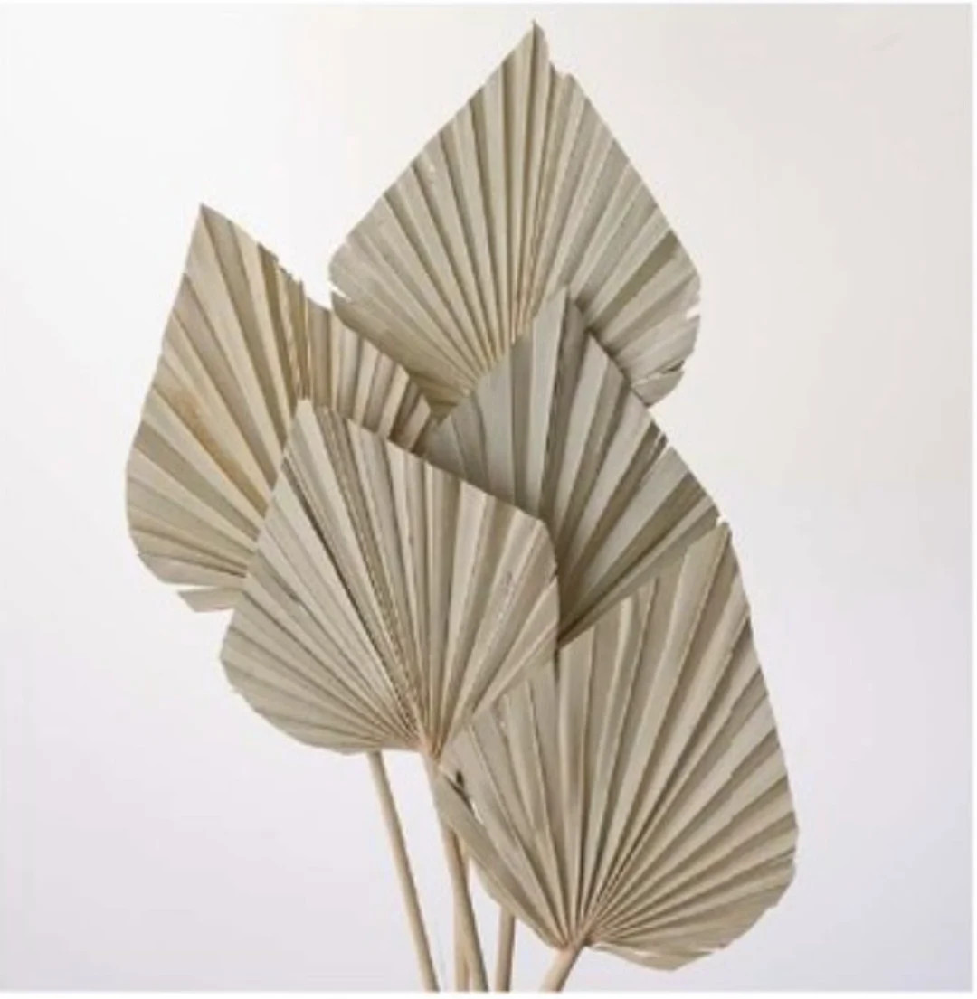 Dried Flower Palm Spade - Natural (@ - Etsy | Etsy (US)