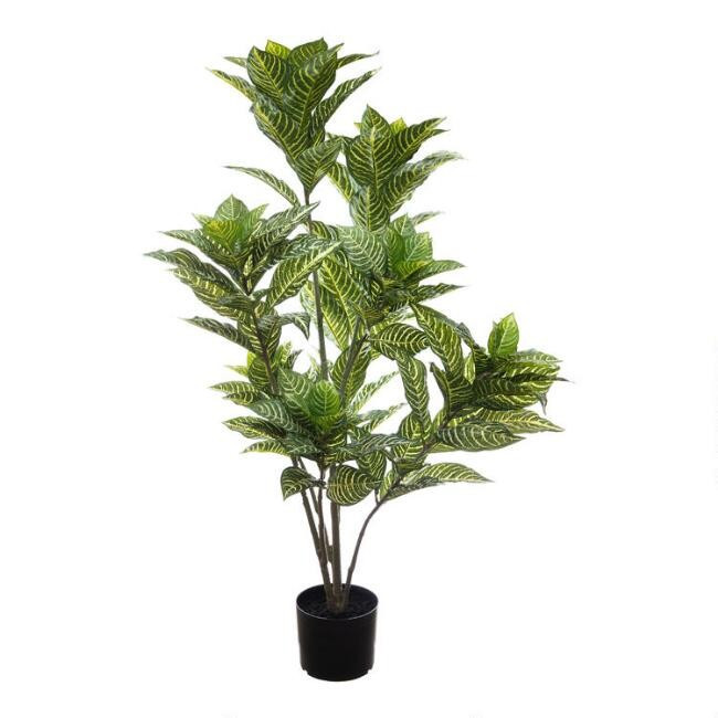 Faux Zebra Plant | World Market