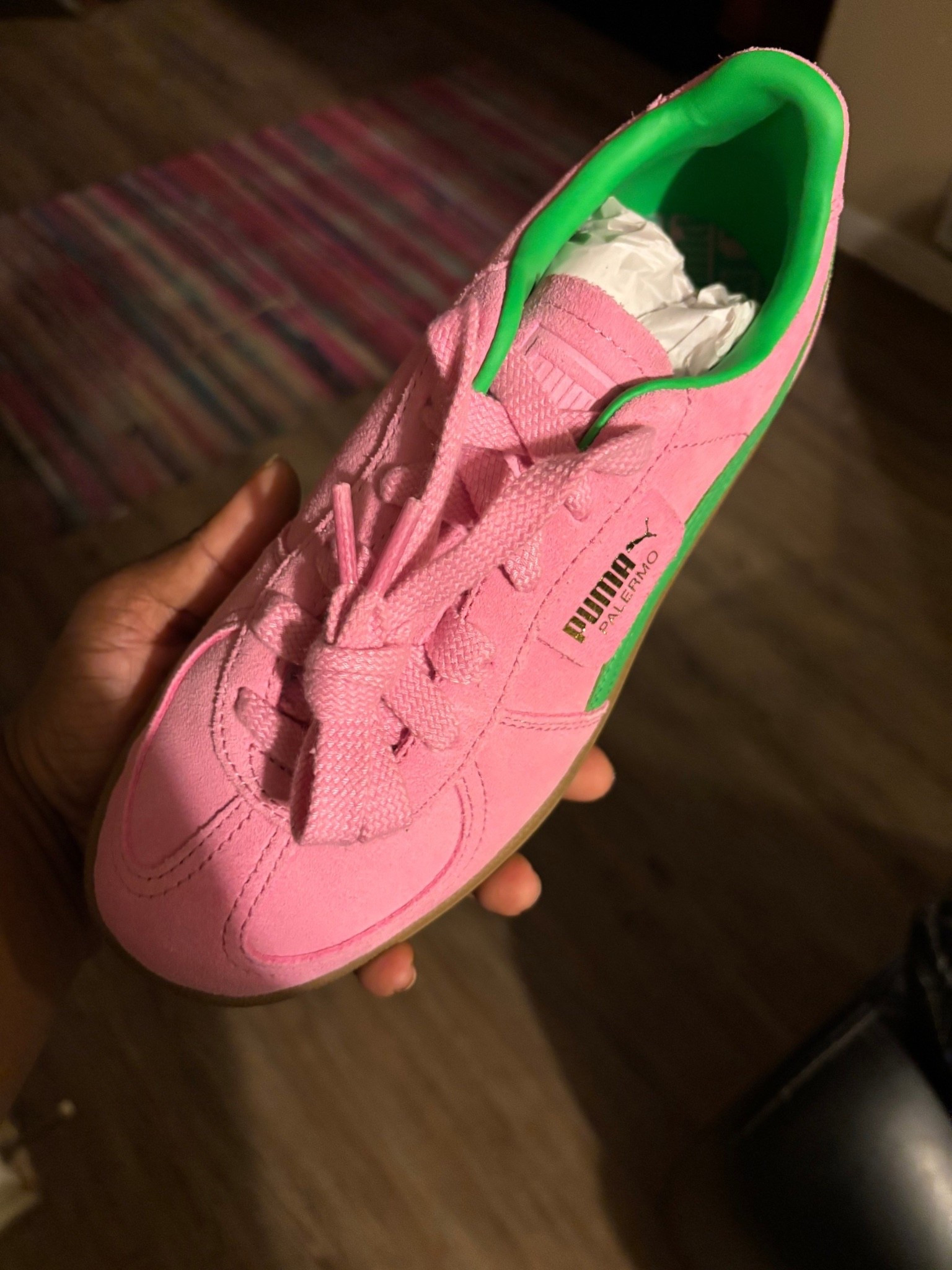 Pink & Green Puma Palermo 

#LTKPlusSize #LTKShoeCrush #LTKOver40