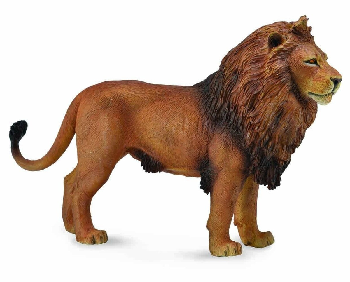 CollectA * African Lion * 88782 Lion Wildlife Replica Model Toy Figurine  | eBay | eBay US