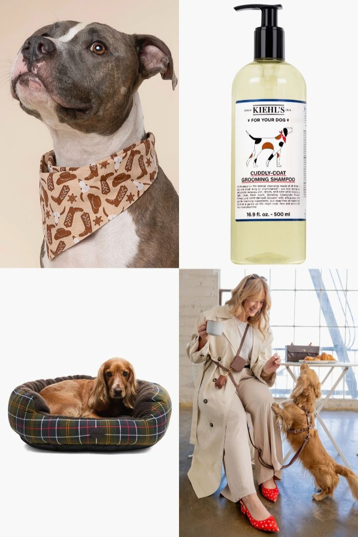 Pamper your furry friend (or the pet parent in your life) with these cozy and stylish picks from Nordstrom’s Pet Lover Collection 🐶🎄

✨ Featured Items:
• Tartan Snuggle 30" Dog Bed – soft, warm, and perfect for winter naps
• Bronco Dog Bandana – add a touch of festive charm for every walk
• Cuddly-Coat Grooming Shampoo – gentle formula for a shiny, healthy coat
• 4-in-1 Convertible Hands-Free Leash – smart design for effortless walks and adventures 

 #LTKGiftGuide #LTKHoliday #LTKHome