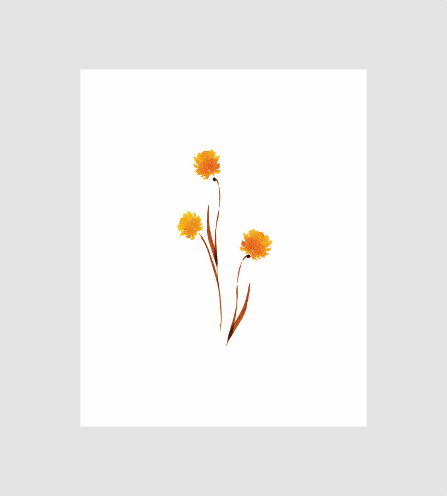Floral Study V5 | Chasing Paper