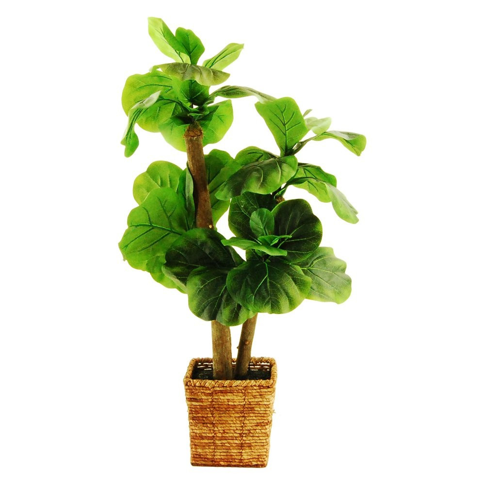 LCG Florals Mini Fiddle-Leaf Fig Silk Tree Plant with Square Basket | Hayneedle