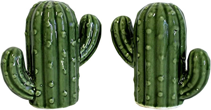 Amazon.com: Hand-Painted Ceramic Cactus Salt and Pepper Set - Kitchen Dining Room Perfect Housewa... | Amazon (US)