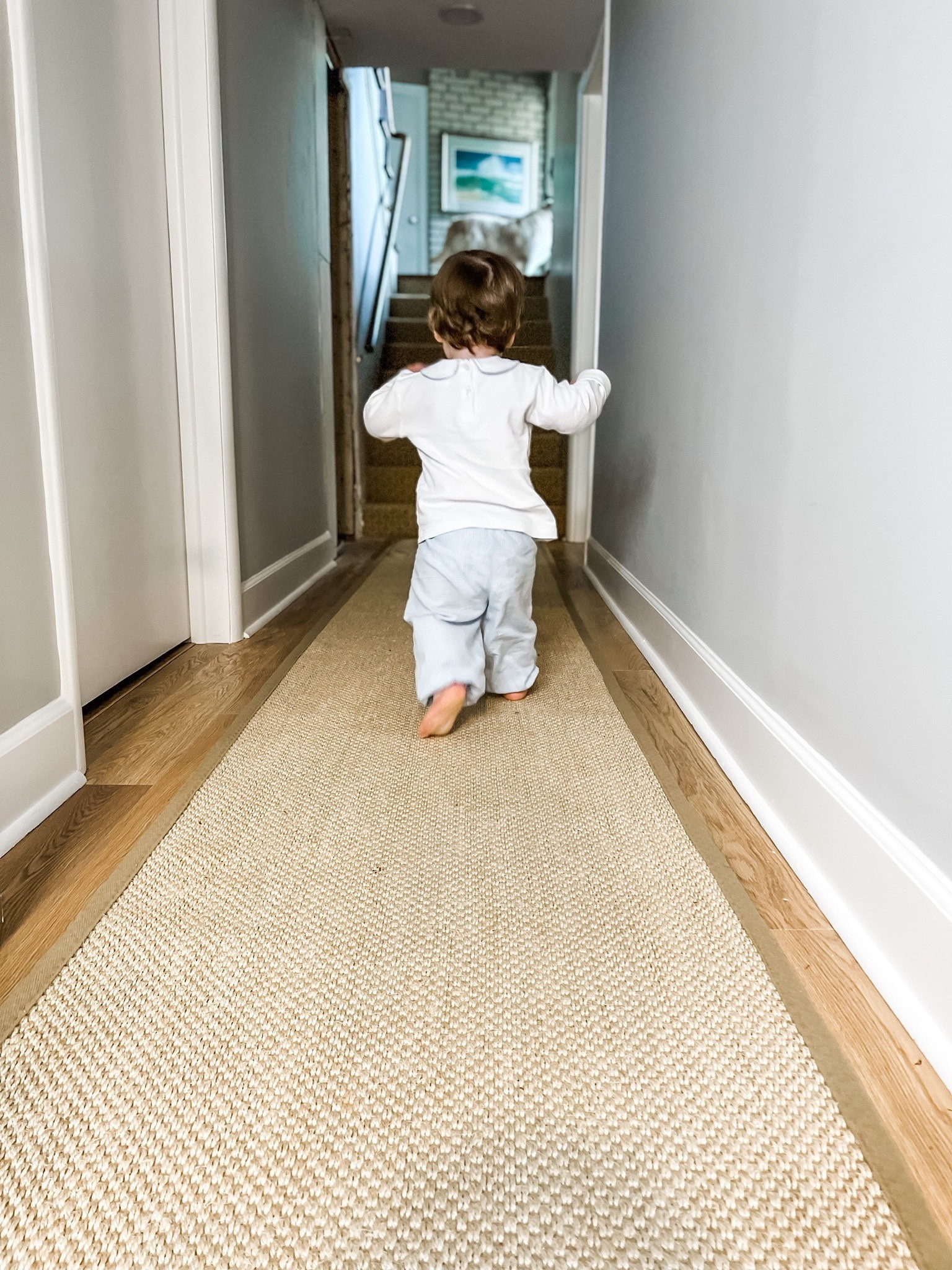 We love this natural fiber rug from Amazon! We have had it in our hallway for a few months and it has held up so well. It comes in many different sizes and a few different colorways. 

Natural fiber rug, sisal rug, Amazon find, Amazon, rug find, home decor, hallway, living room rug, bedroom rug, dining room rug, home find, neutral rug, neutral home decor, bedroom, hallway, entryway, dining room, living room #amazon #amazonhome




#LTKhome #LTKunder100 #LTKfamily