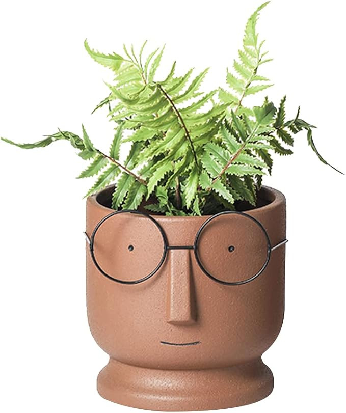 Face Planters Pots,Terracotta Plant Pot Unglazed Modern Ceramic Human Face Vase Succulent Head Pl... | Amazon (US)