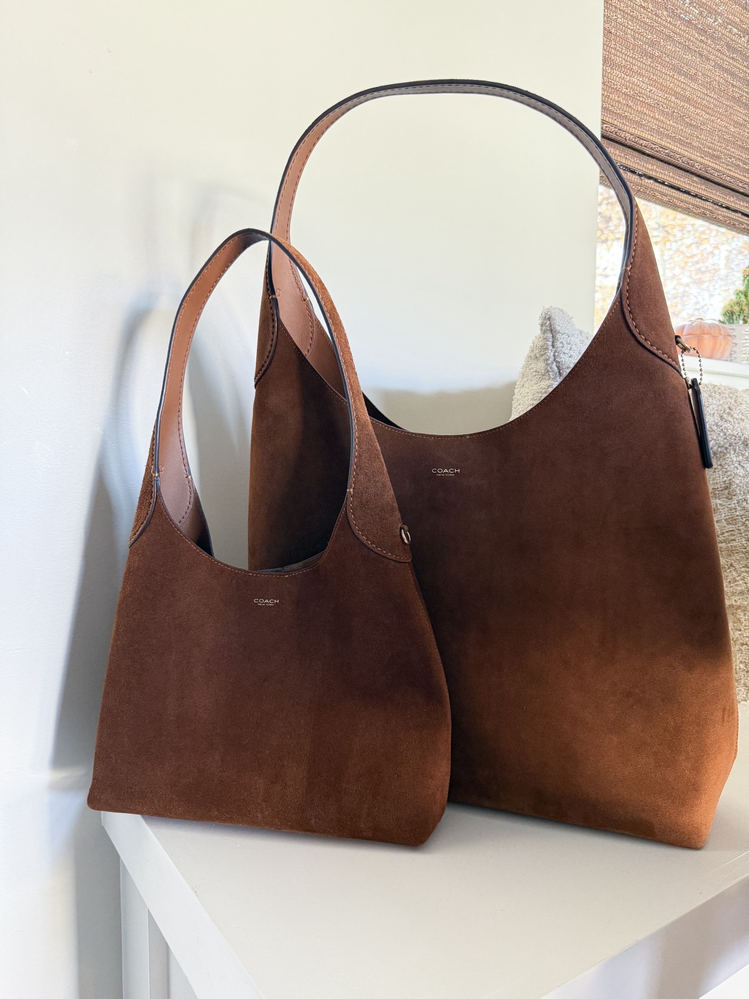 I have had the smaller Coach Brooklyn bag for a while & loved it so much that I grabbed the larger size too. The suede is beautiful, the shape feels polished without trying, & it’s the kind of bag that actually works for real life. It fits everything I need for fall, winter, holiday events, + everyday errands while still feeling clean and classic.

coach brooklyn bag – suede handbag – large shoulder bag – everyday leather bag – capsule wardrobe essentials – neutral fall style – winter outfit accessories – elevated basics – chic minimal accessories – women’s designer bags – trending handbags – brown suede bag – classic timeless bag – holiday outfit styling – polished everyday style