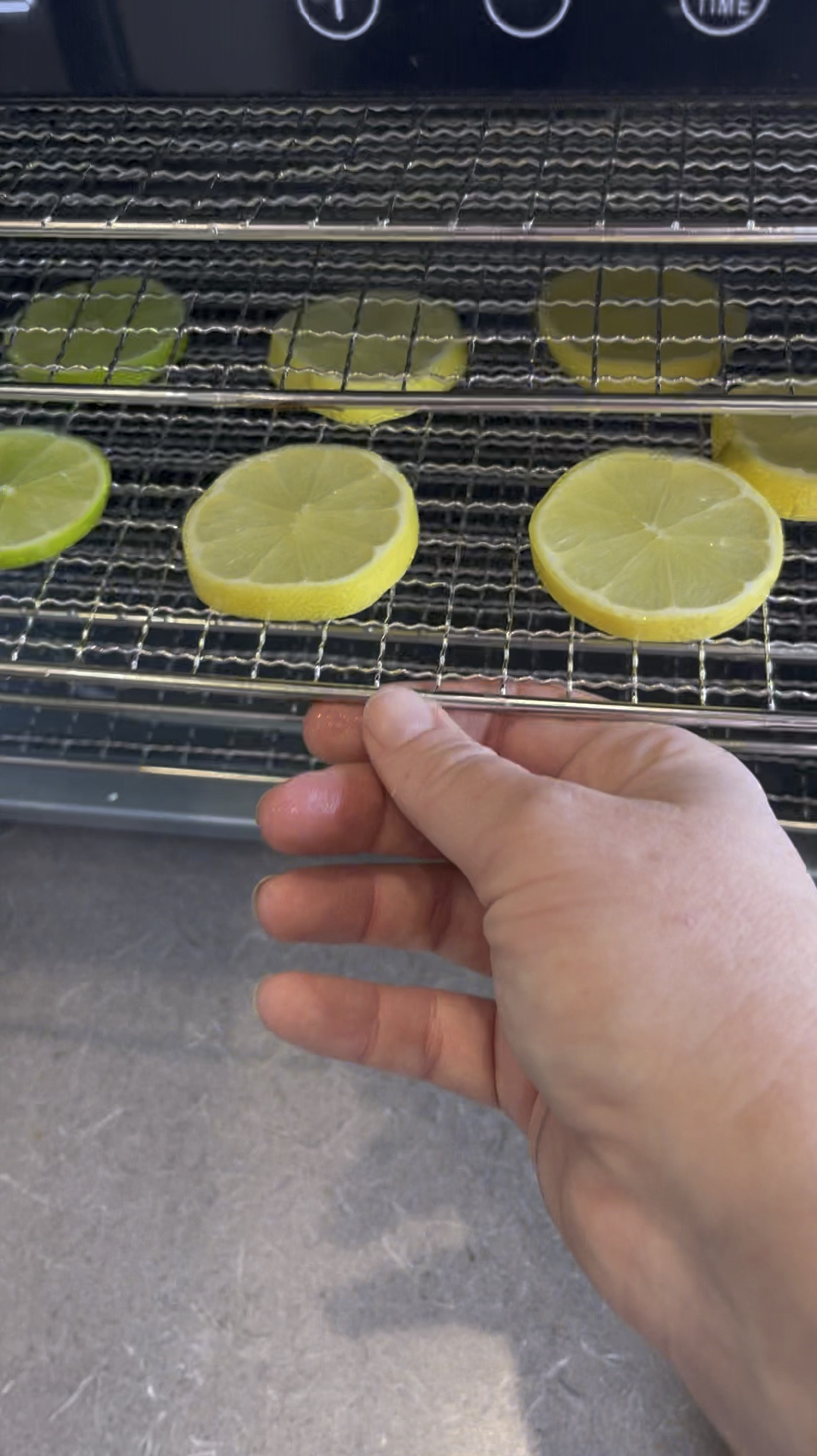 Food dehydrator 

#LTKGiftGuide #LTKhome #LTKaustralia