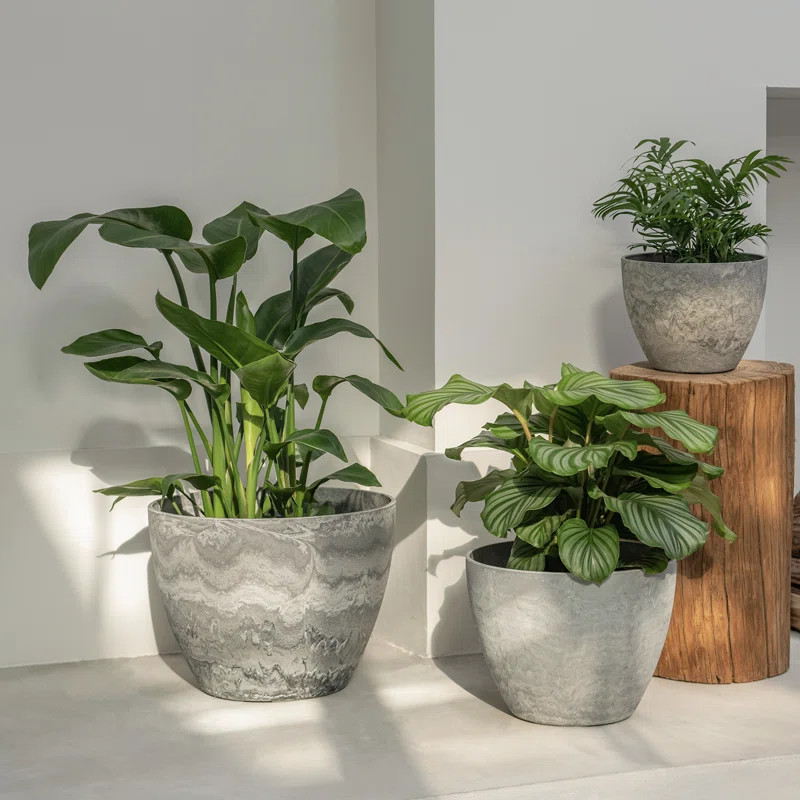 Nova 3 Sets Plastic Planter Pots for Outdoor Plants (Set of 3) | Wayfair North America