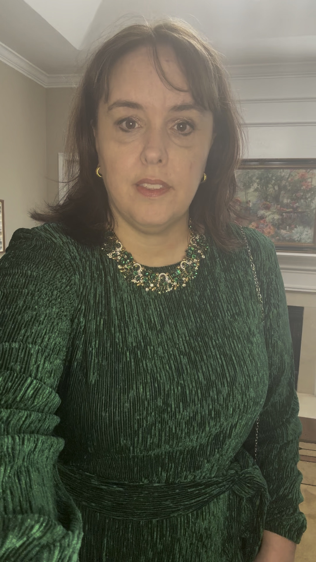 Gorgeous green velvet dress! Earrings from TikTok Shop! https://www.tiktok.com/t/ZTY2NuUTT/

#LTKSeasonal #LTKFindsUnder50 #LTKParties