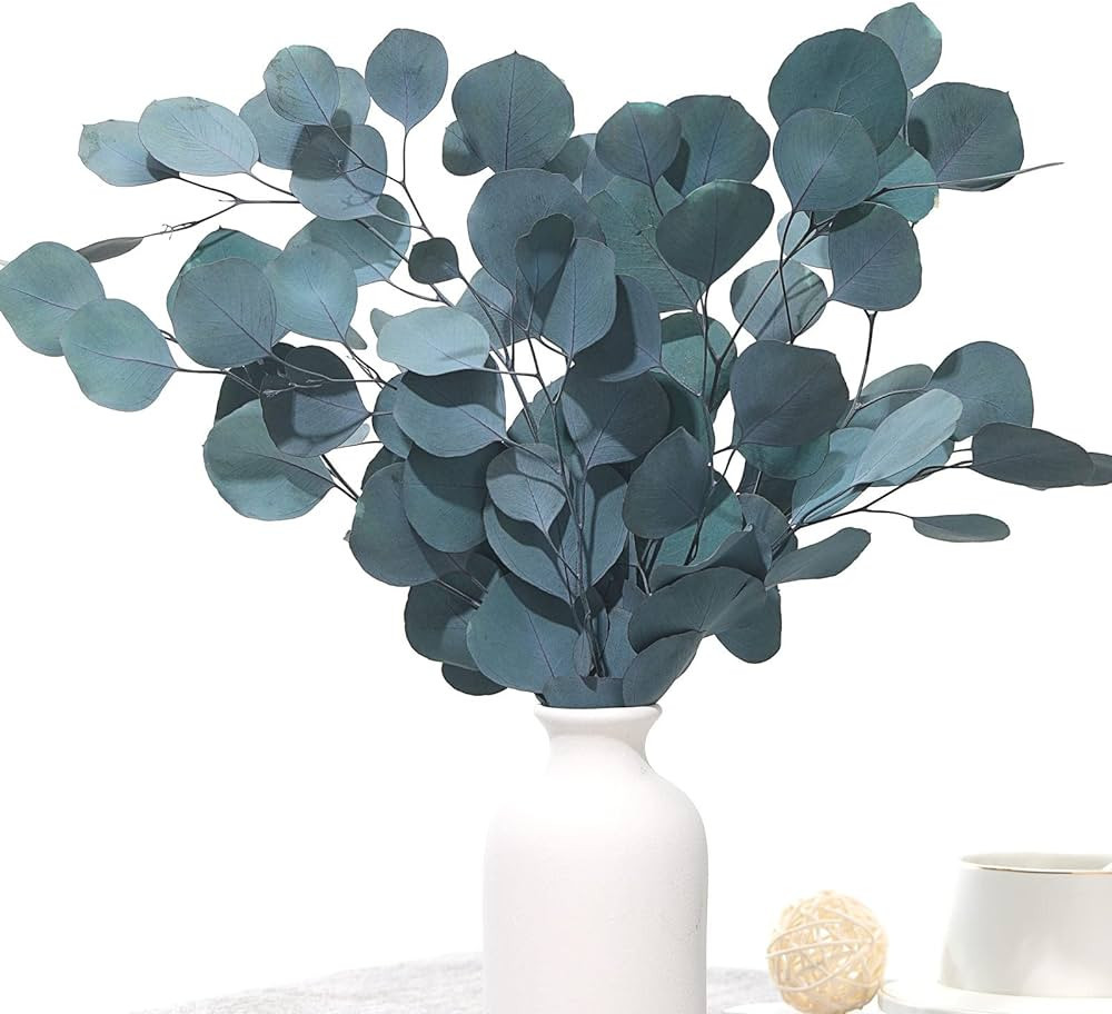 Preserved Dried Eucalyptus Stems, Blue Real Greenery Branches, 7-11 PCS Silver Dollar Leaves for ... | Amazon (US)