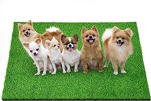LOOBANI Dog Grass Pads, 31.8x51.1 Inches Dog Pee Grass for Dogs Potty Training, Dog Potty Grass w... | Amazon (US)