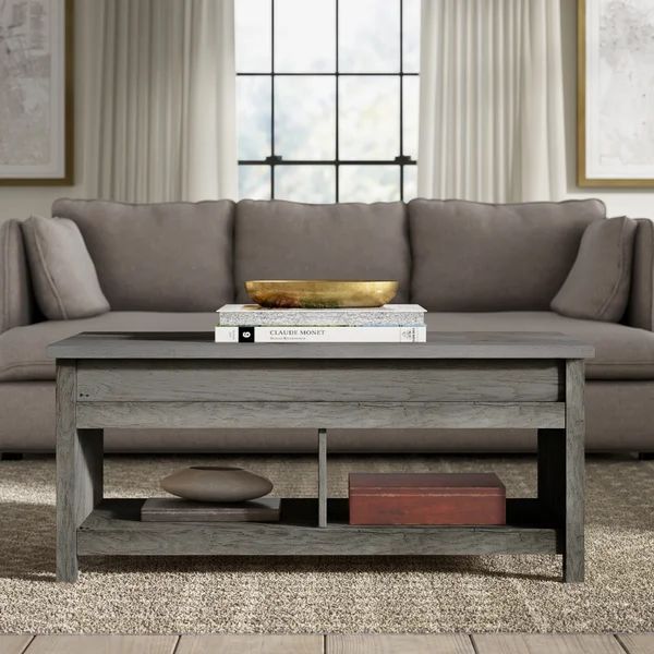 Tilden Lift Top Coffee Table with Storage | Wayfair North America