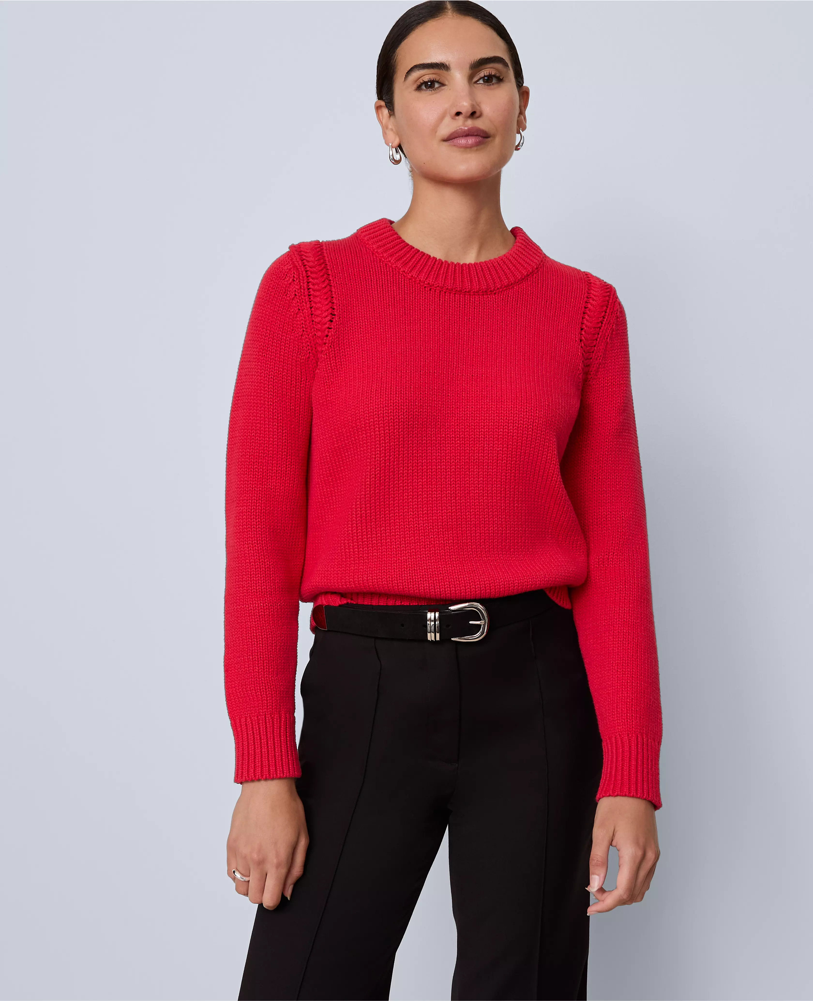 Shoulder Detail Crew Neck Sweater | Ann Taylor