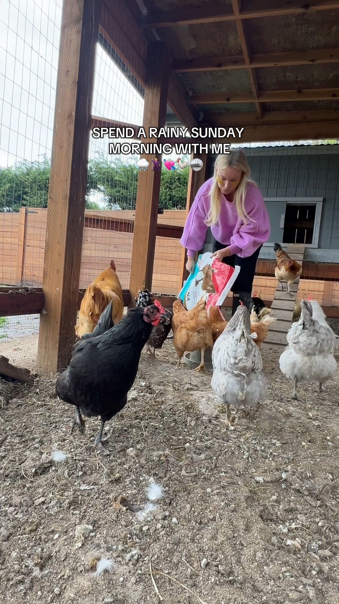 Rainy Sunday mornings are the best! 💘🕺🏼🥰🧚🏻🌧️ chickens of tik tok, homesteading, weekend vlog, day in the life, pilcro, work from home outfits, lounge wear, athleisure, winter warm outfits, spring style, home finds, chill morning vibes, dog mama

#LTKSeasonal