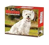 Westies 2023 Box Calendar     Calendar – Day to Day Calendar, August 30, 2022 | Amazon (US)
