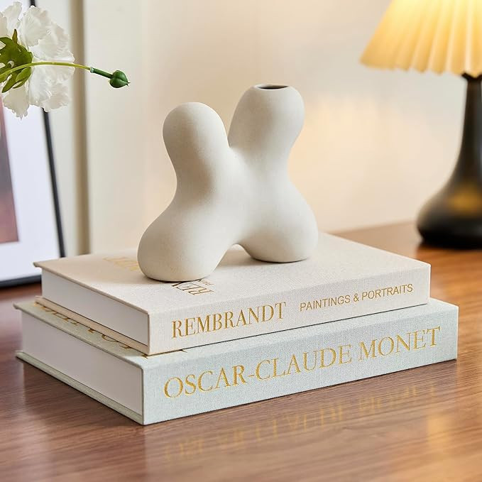 Aesthetic Linen Decorative Fake/Faux Books for Coffee Table, Set of 2 Storage Boxs for Living Roo... | Amazon (US)