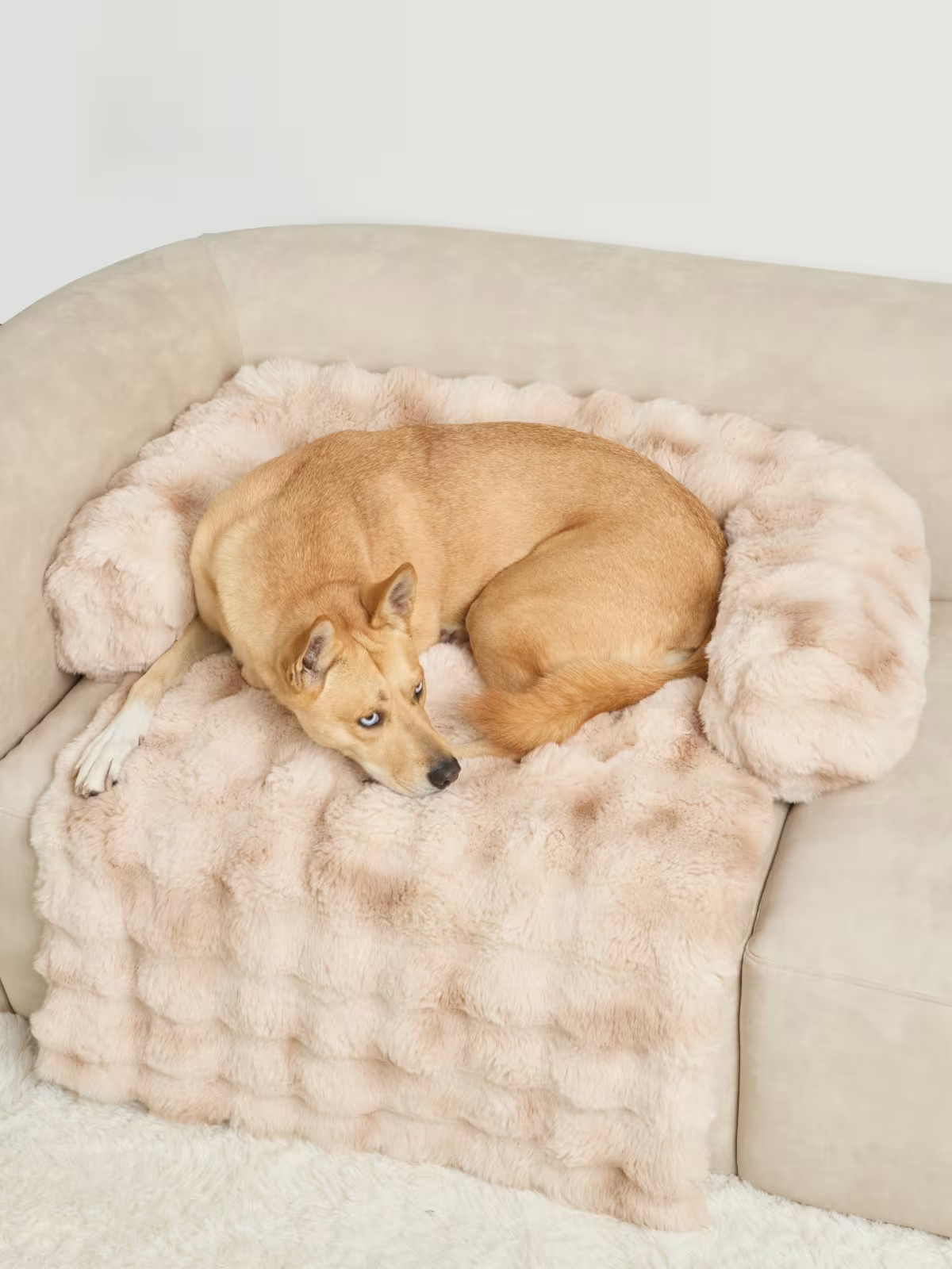 Dream Cloud Pet Sofa Bed — Comfrt | Comfrt