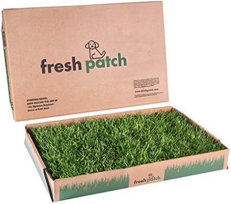 Fresh Patch Disposable Dog Potty with Real Grass | Amazon (US)