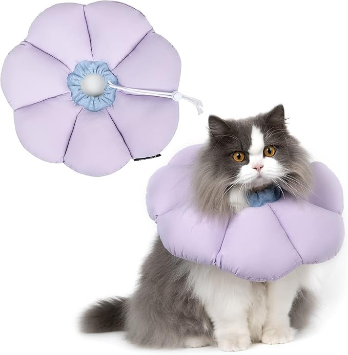 Cat Cone Collar,Cute Waterproof Cat Recovery Collar,Anti-Bite Lick Wound Healing Safety Elizabeth... | Amazon (US)
