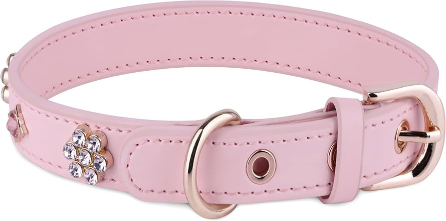 Visit the JAX PLANET Store | Amazon (US)